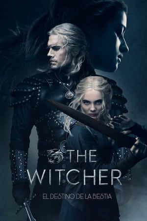 The Witcher (2019-2023)
