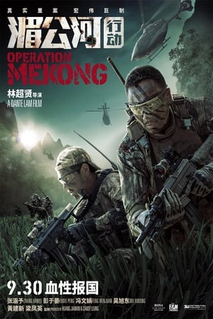 Operación Mekong (2016)