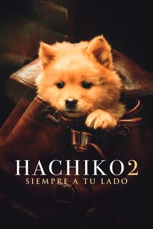 Hachiko