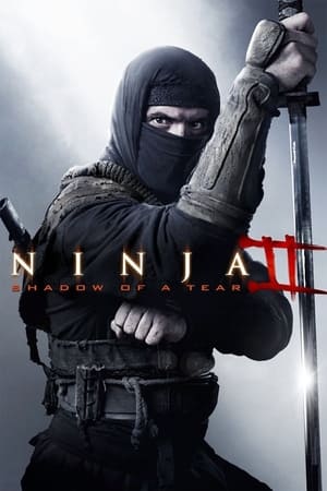 Ninja 2: La sombra de la muerte